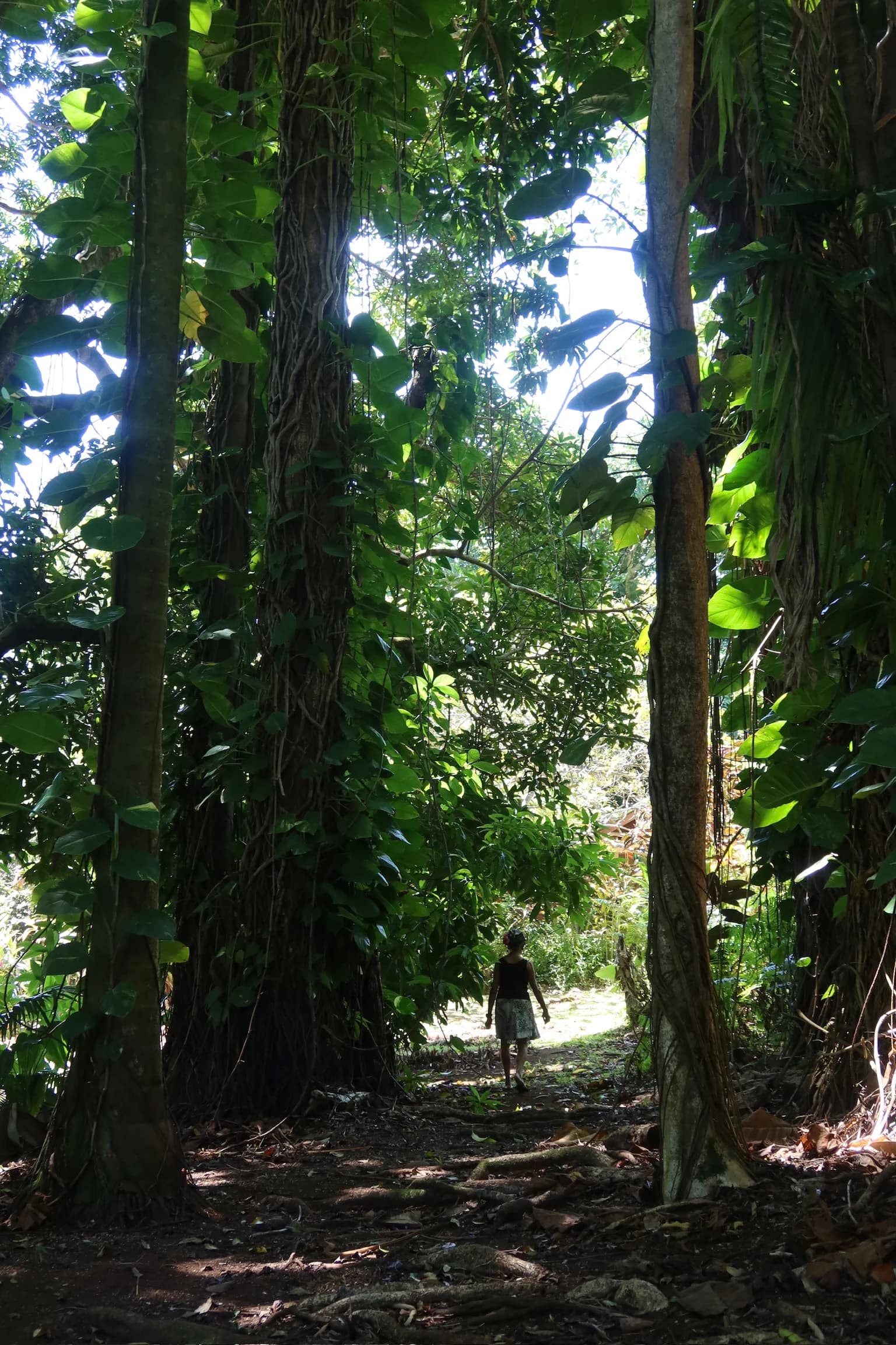 Grounds image