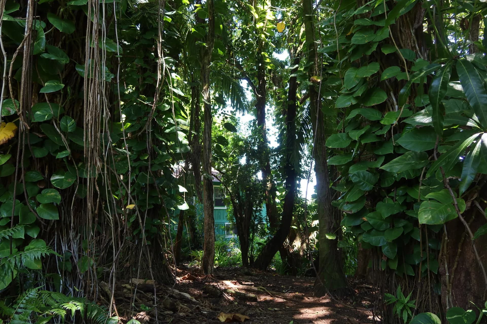 Grounds image