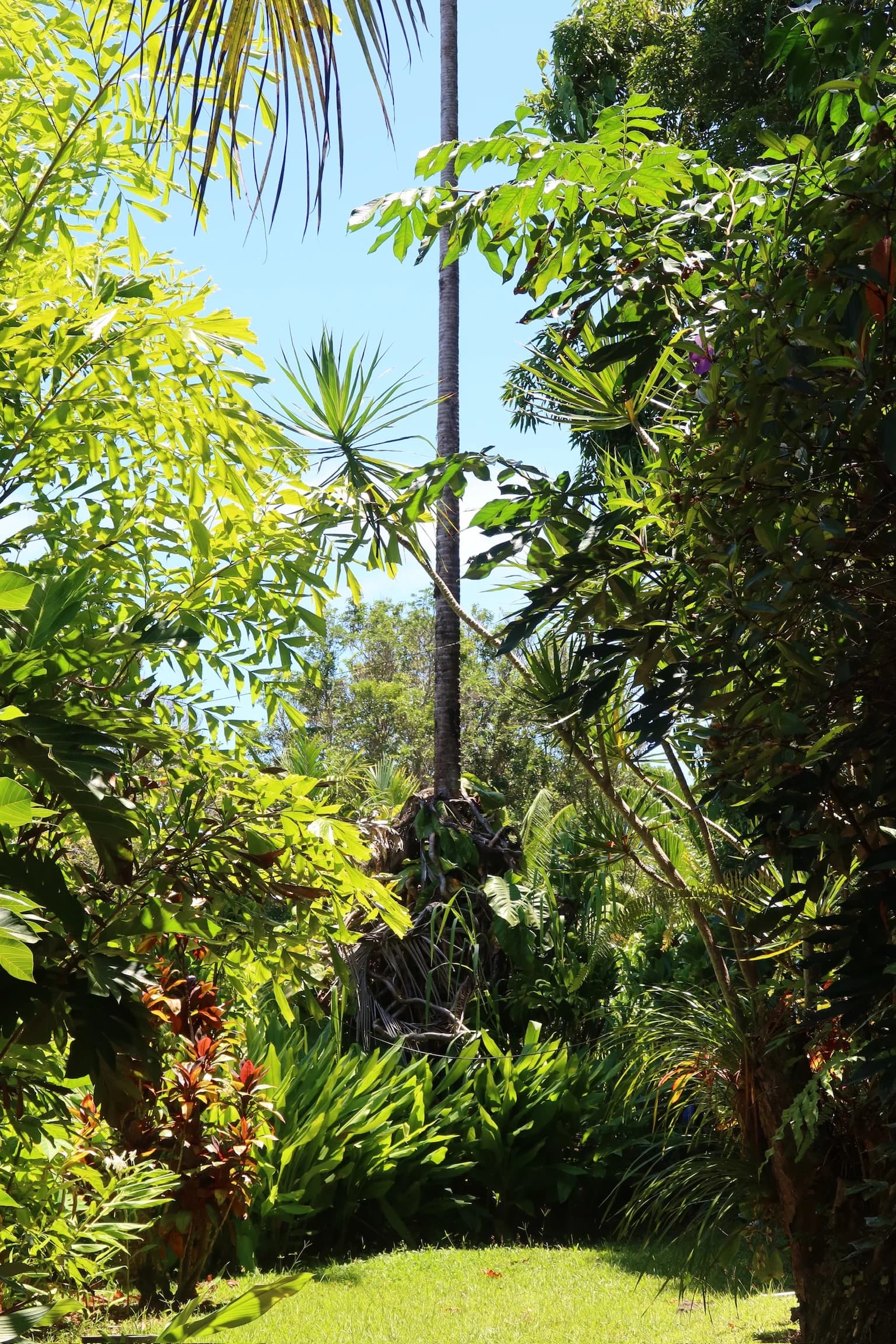Grounds image