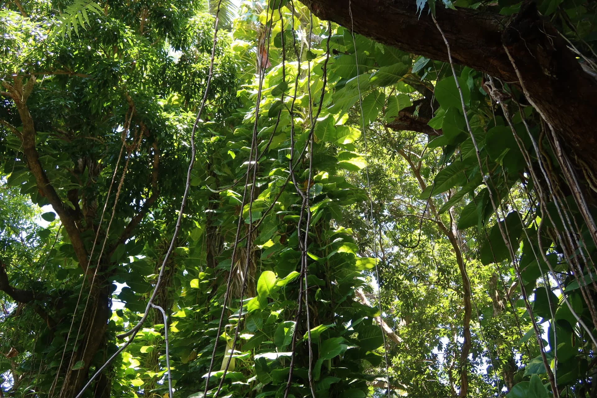 Grounds image