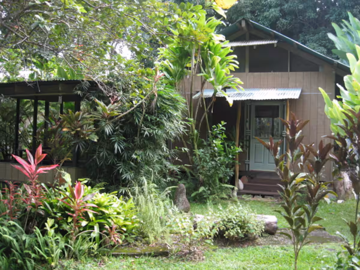 Another interior view of the airy cottage space